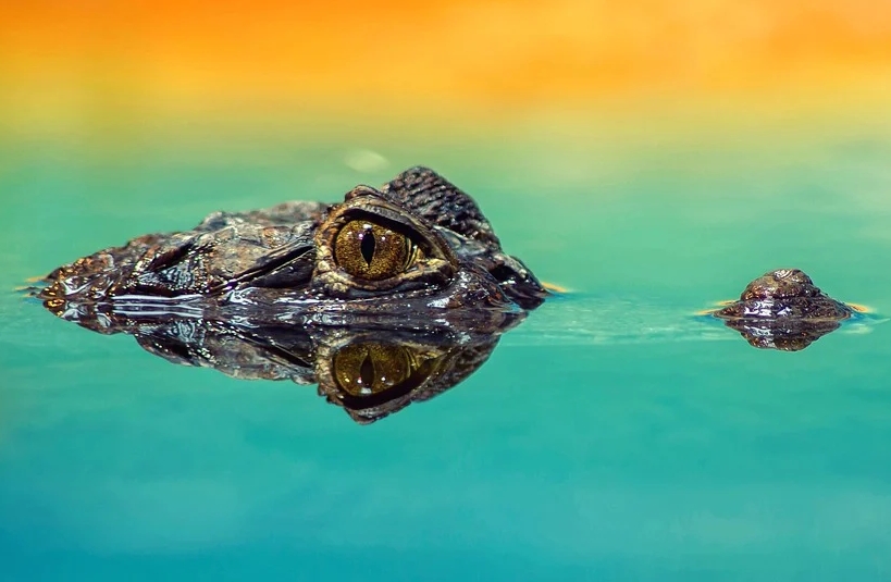 Es nennt sich Bürgerbeteiligung. Es unterwandert den Demokratieprozess.